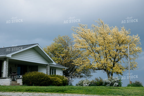 Farmhouse 77345