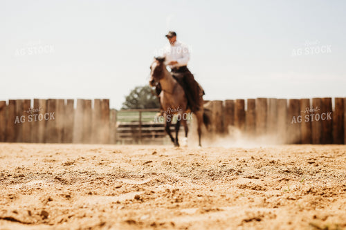 Riding Horse in Arena 281094