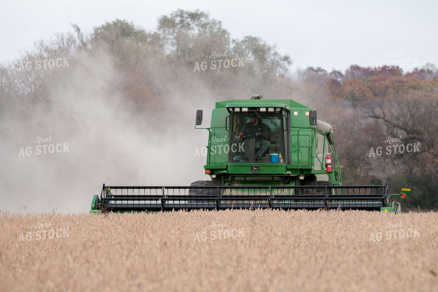 Soybean Harvest 157050
