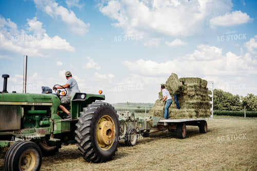 Baling Square Hay Bales 281038