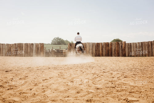 Riding Horse in Arena 281090
