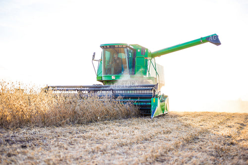 Combining Soybeans 74048
