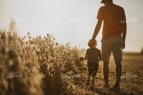 Farmer and Son Walking Along Half Harvested Soybean Field 4791