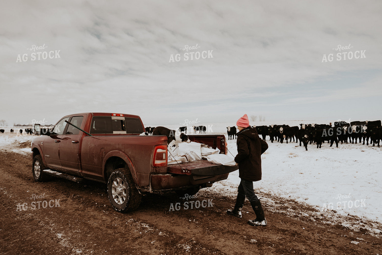 Female Rancher Feeding Supplements 61202
