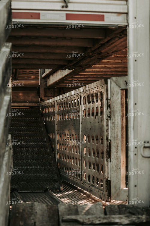Loading Livestock Trailer 298008