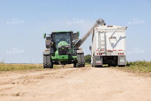 Unloading Rice 79827