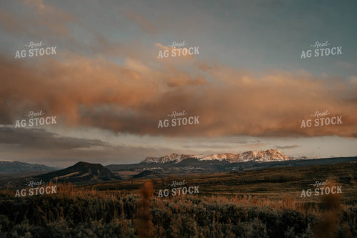 Scenic Pasture 58340