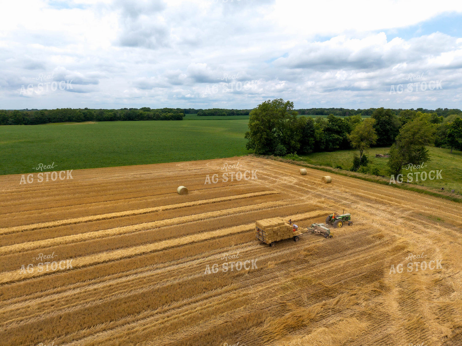 Baling Square Hay Bales 115815