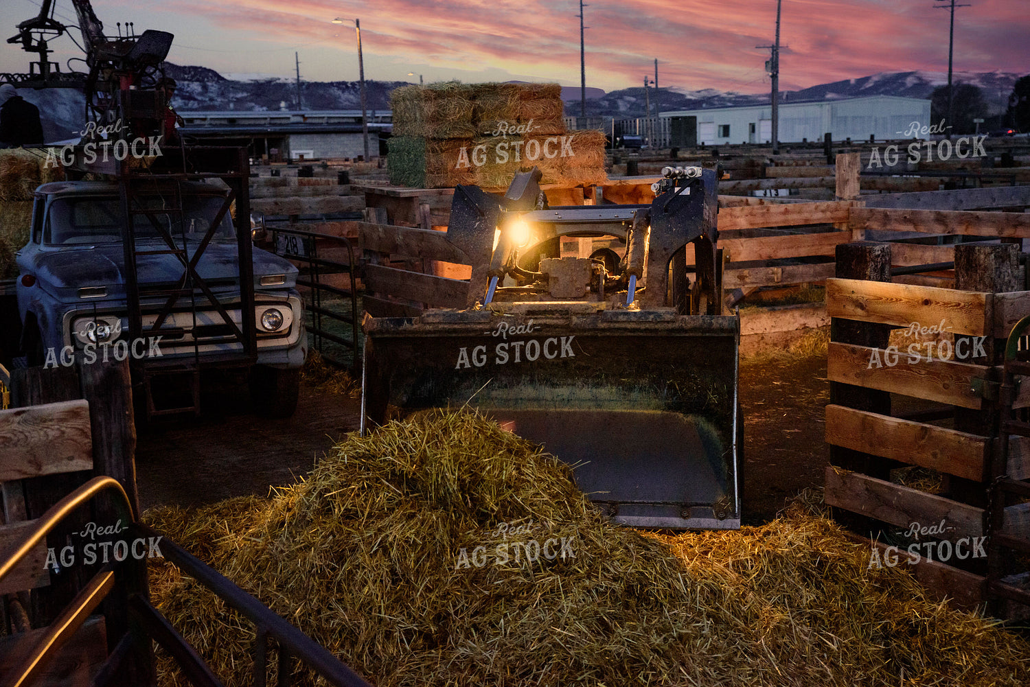 Montana Stockyards 51033