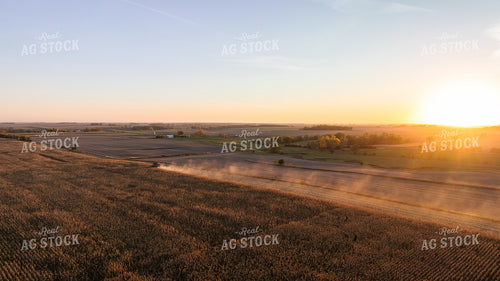 Corn Harvest 274007