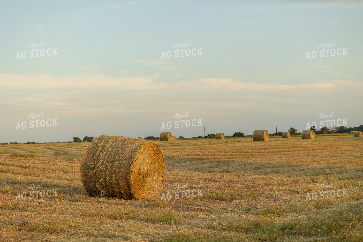 Hay Bale in Field 143007
