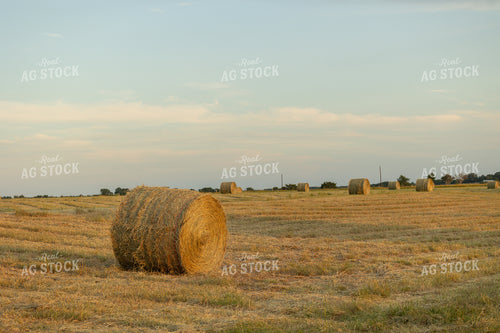 Hay Bale in Field 143007
