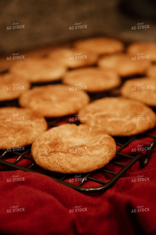 Cookies 67899