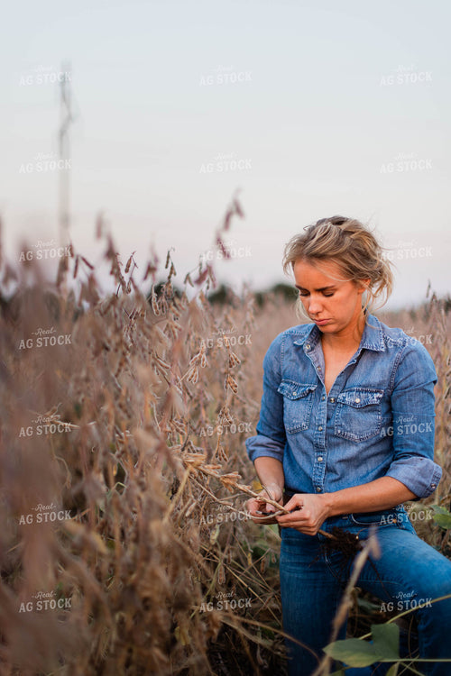 Female Agronomist Checking Beans 8365