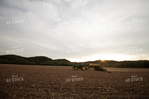 Planting at Sunset 52142