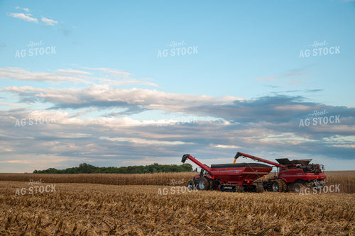 Combine Unloading Corn into Auger Wagon on the Go 25581