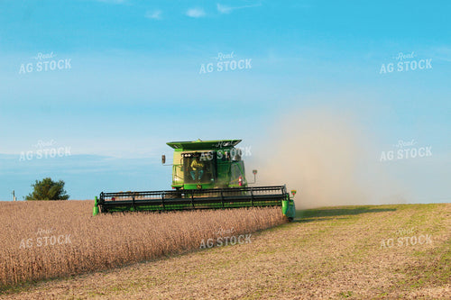 Combine Harvesting Soybeans 52062