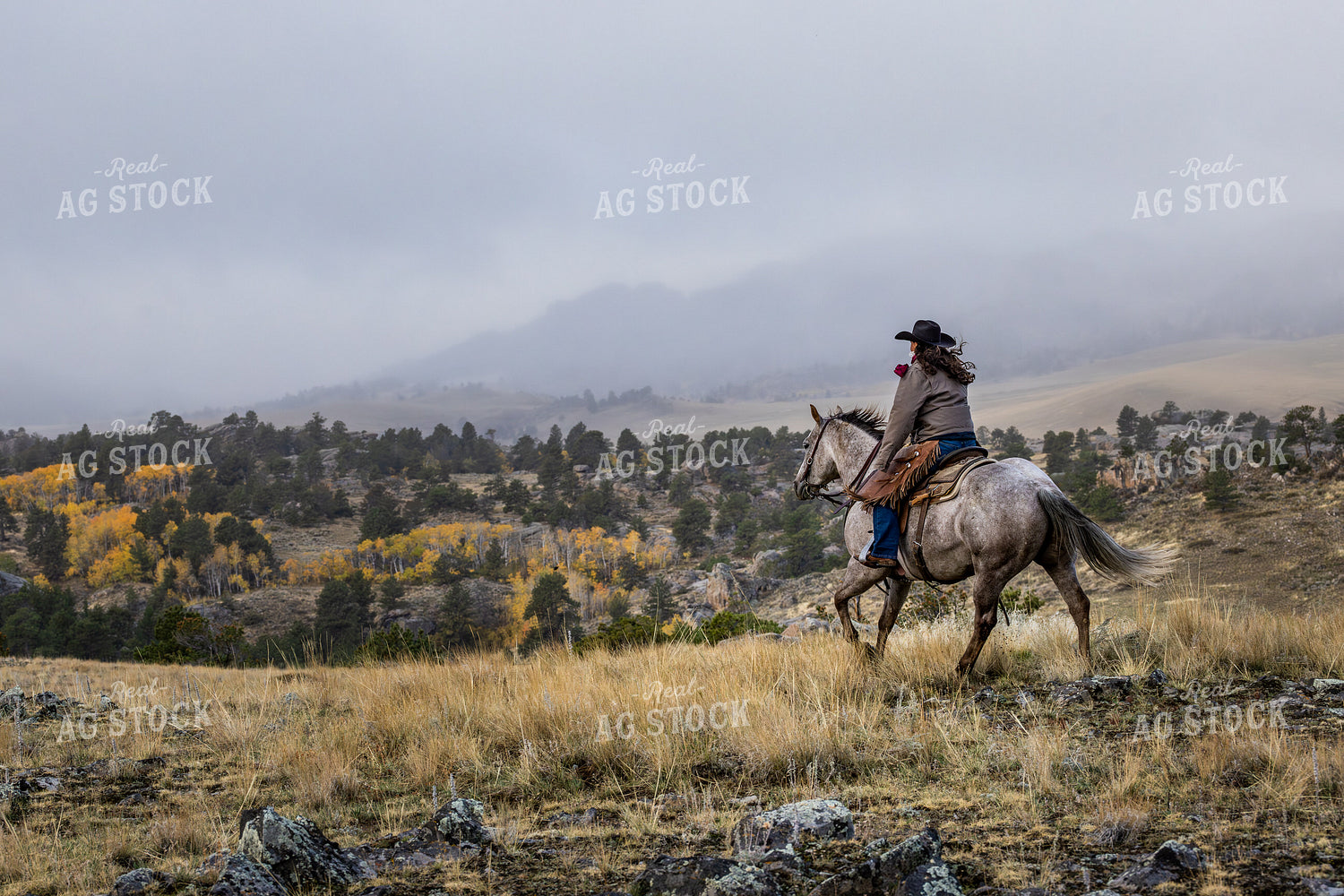 Cowgirl on Horseback 290032