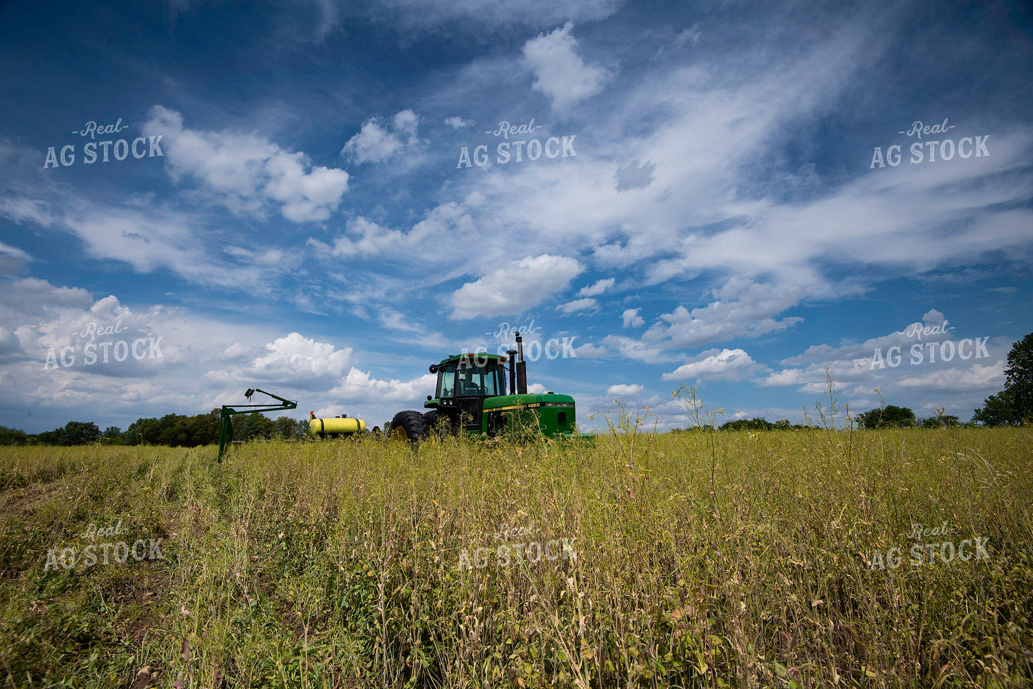 Planting into Cover Crops 168055