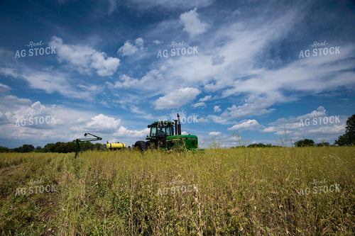 Planting into Cover Crops 168055