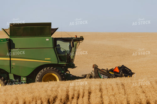Wheat Harvest 187310