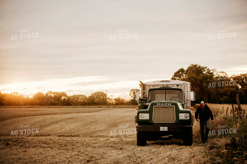 Harvest 2638