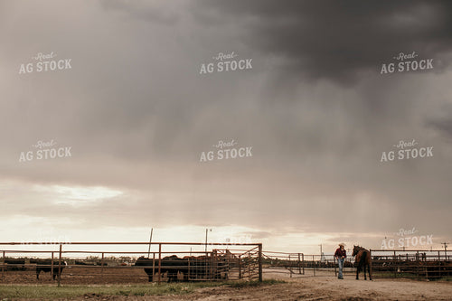 Feedyard 3088