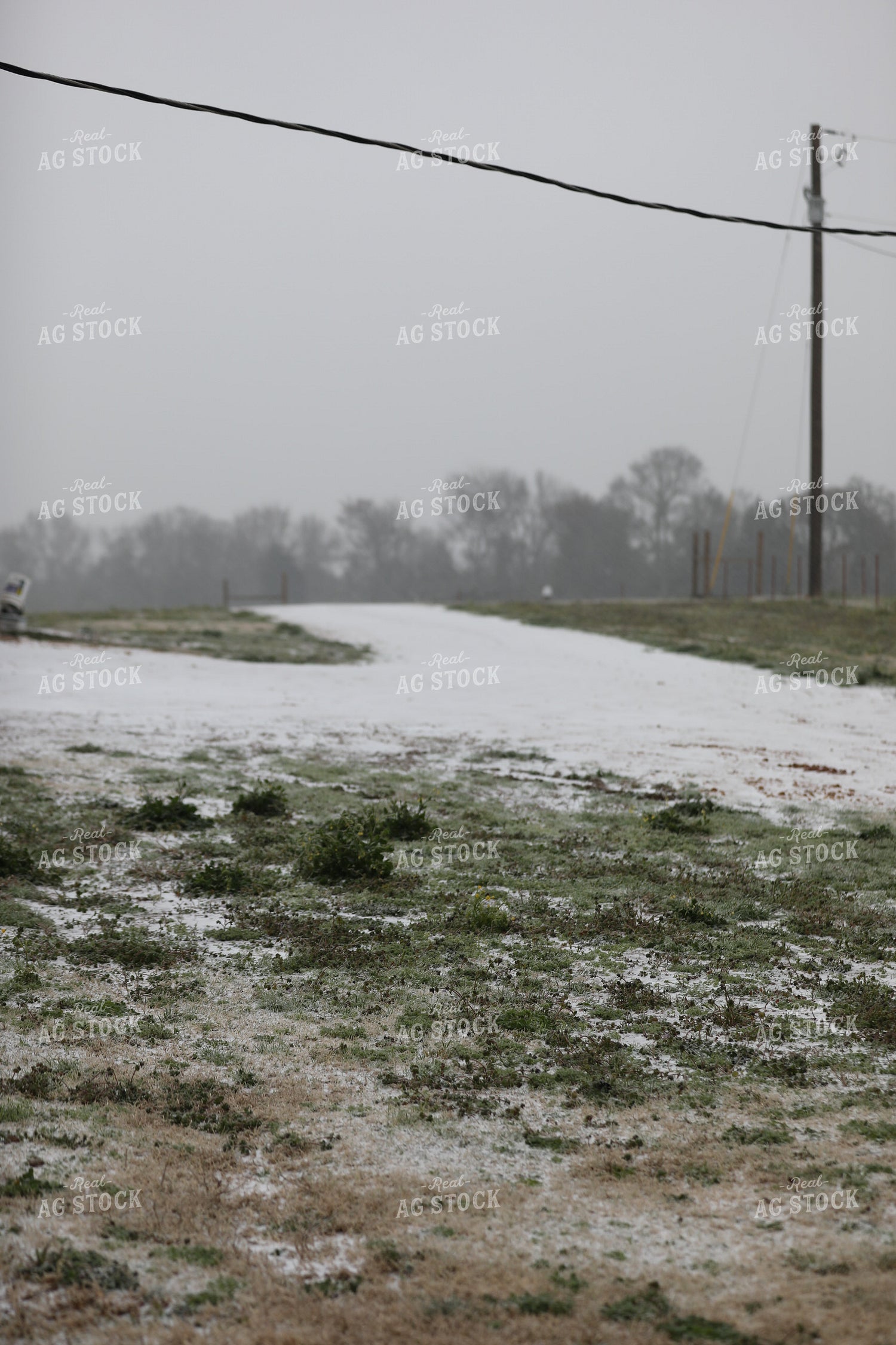 Snow Covered Pasture 262002