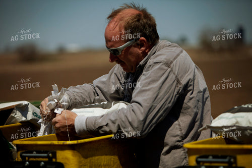 Planting 2000