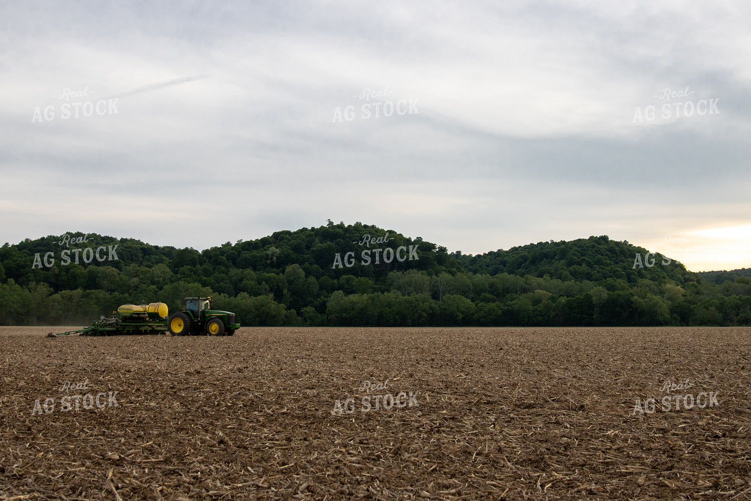 Planting on Sunny Day 52130