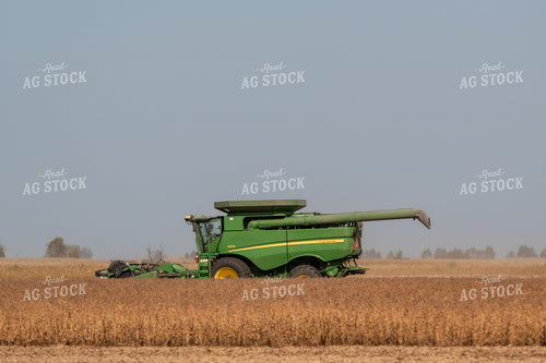 Soybean Harvest 185150