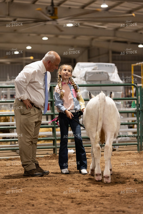 Showing Cattle 52522