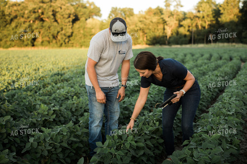 Agronomist and Farmer Scouting Soybean Field 6104