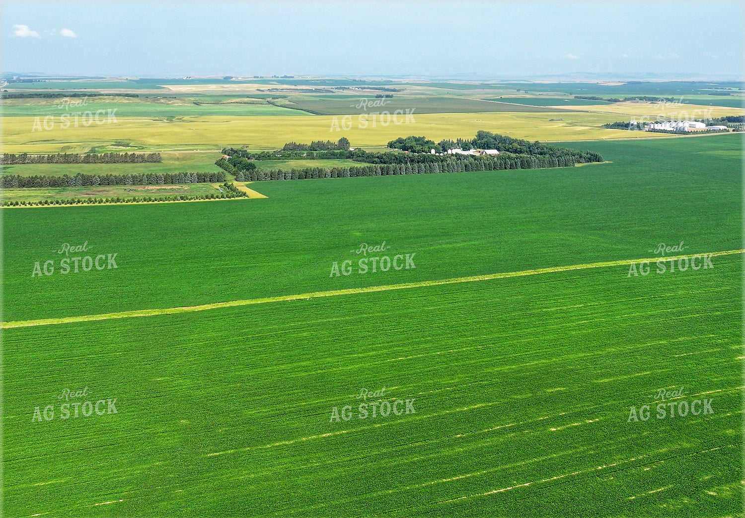 Aerial of Mid-Season Fields 141676