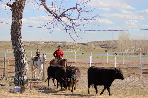 Cattlemen and Horses 63054