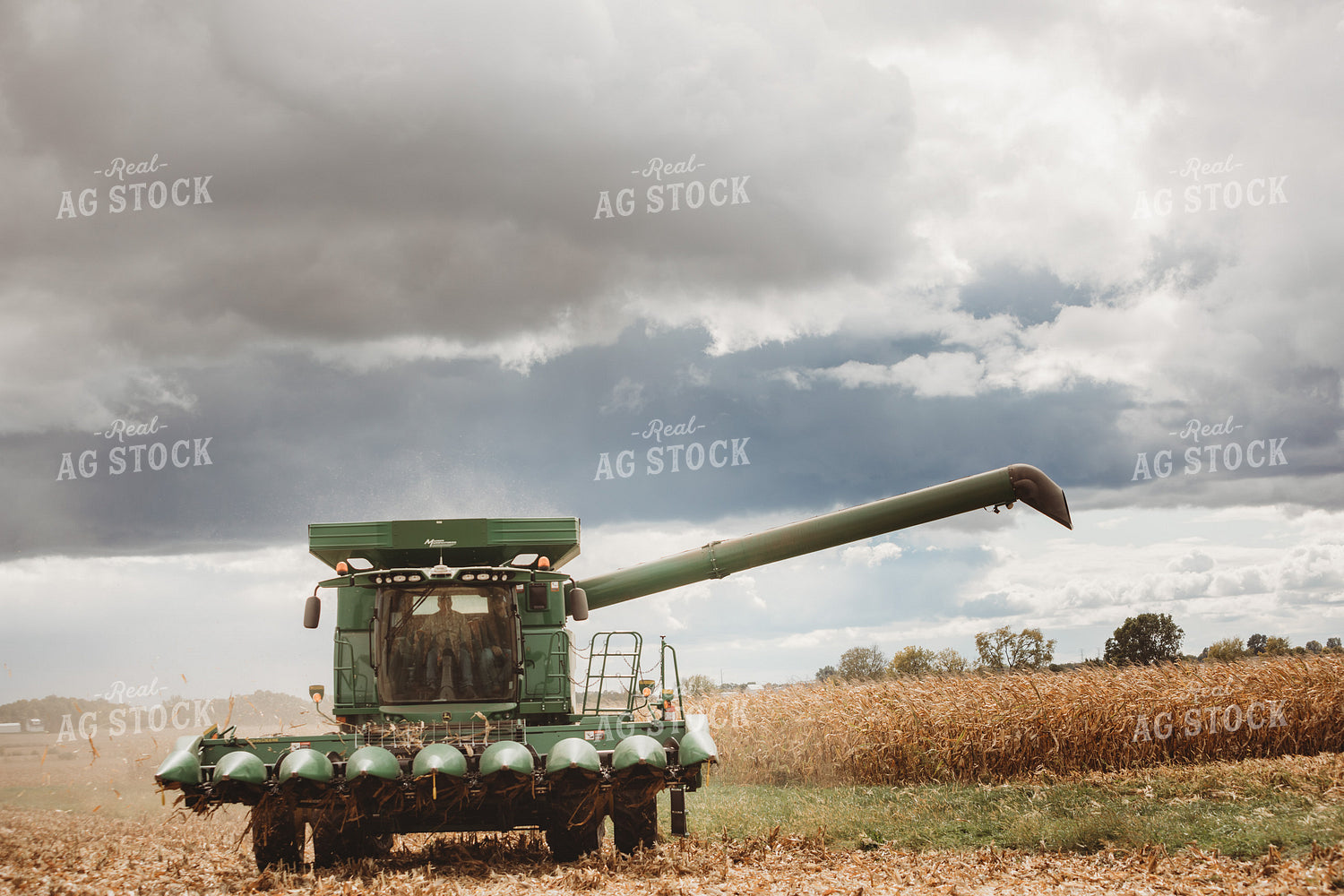 Combine Driving through Corn Field 3348