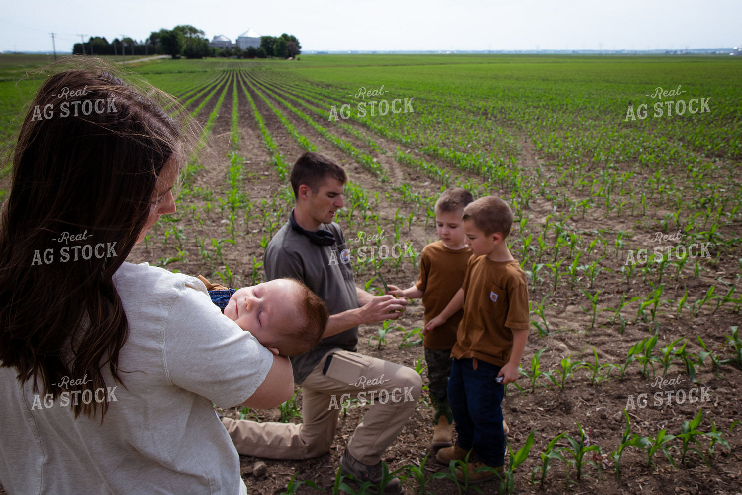 Farm Family Checking Early Growth Corn 268300