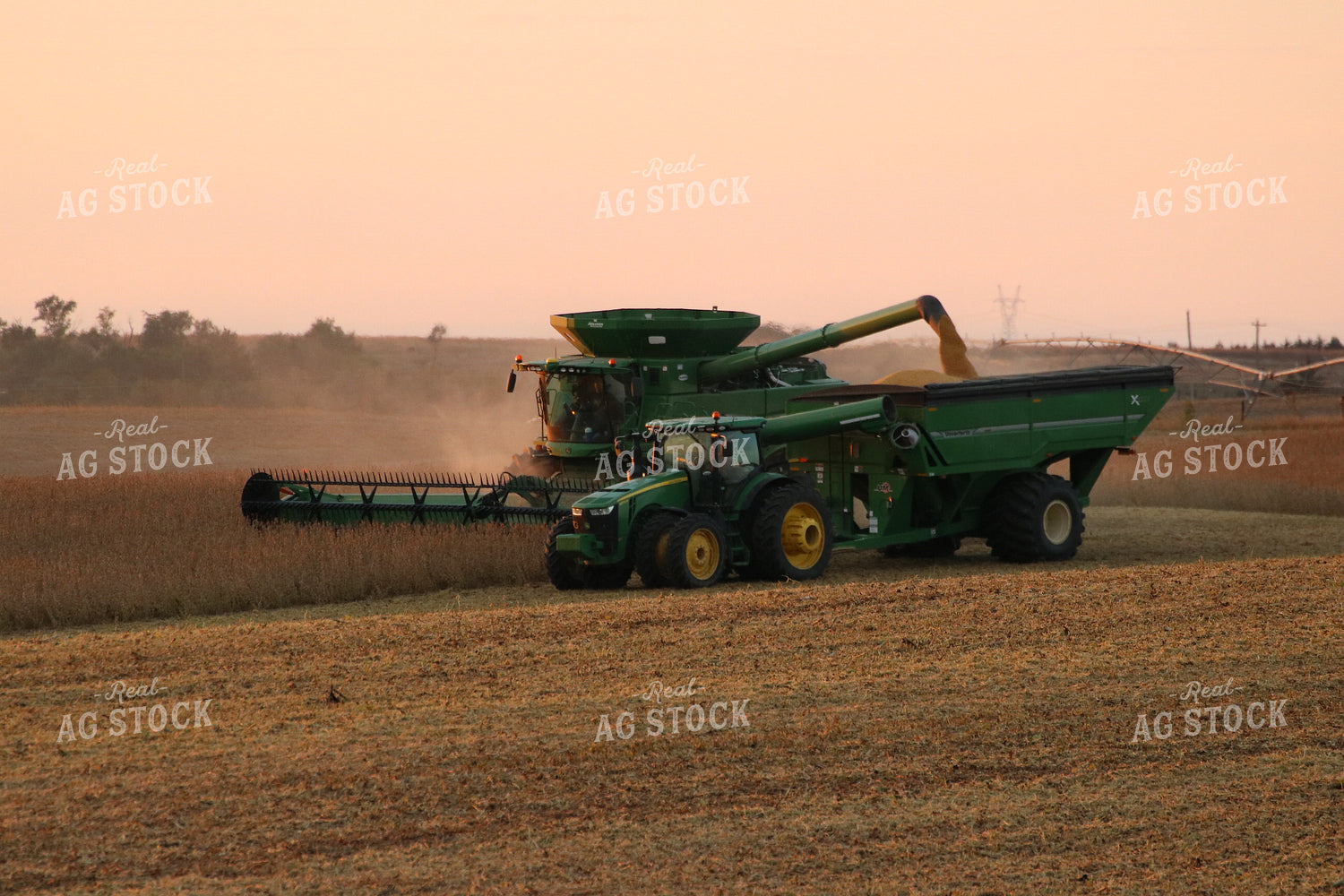Soybean Harvest 82038