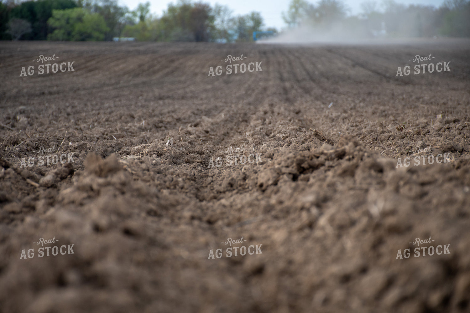 Planted Field 50339
