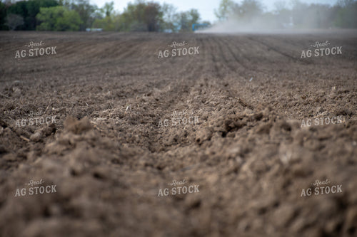 Planted Field 50339