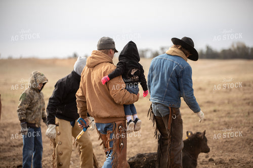 Vaccinating Cattle 190014
