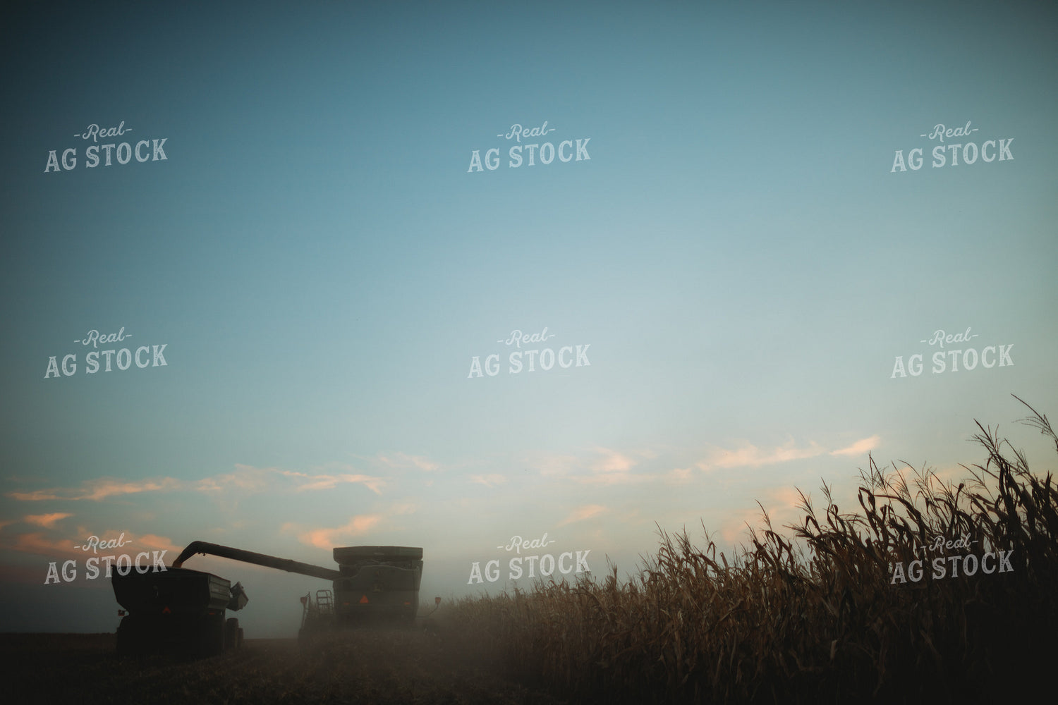 Combine Picking Corn and Filling Grain Cart at Dusk 3395