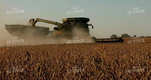 Combine Harvesting Soybeans and Unloading onto Grain Cart 5380