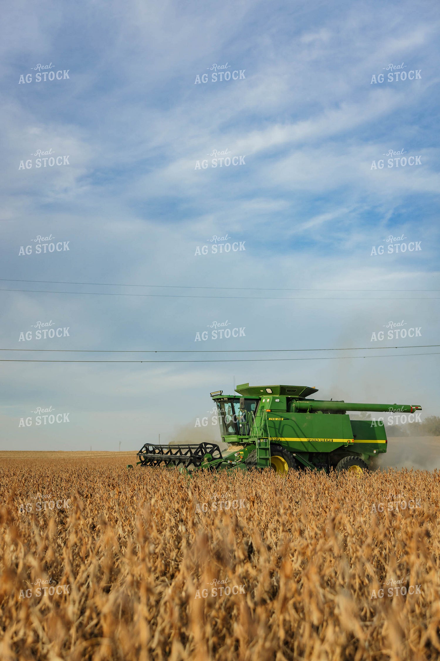 Soybean Harvest 152617
