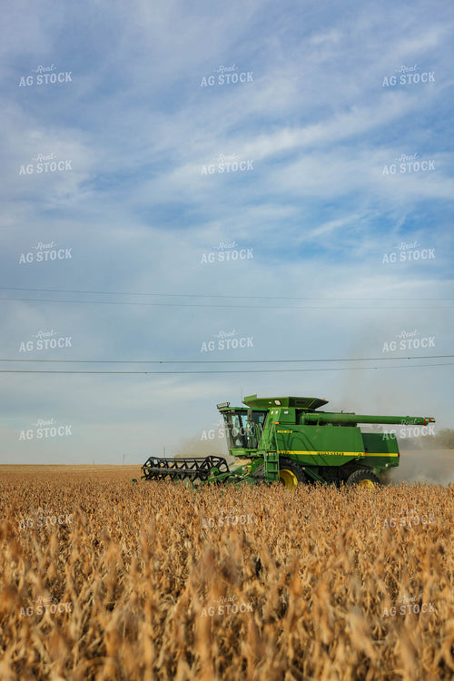 Soybean Harvest 152617