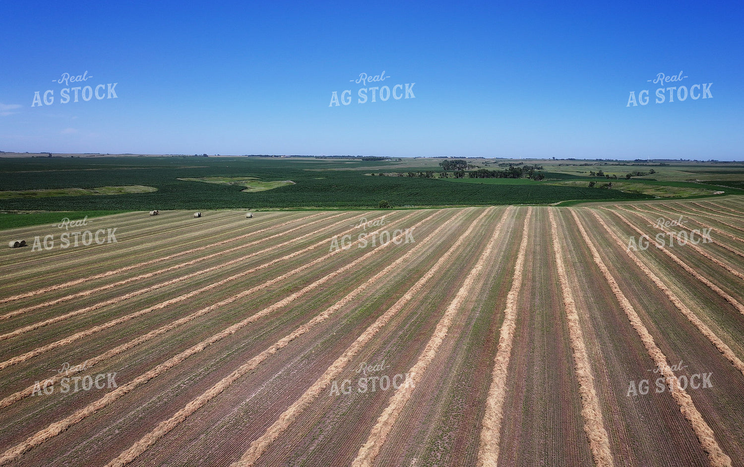Aerial of Cut Hay Field 141331