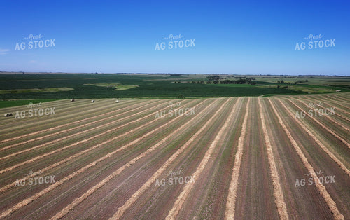 Aerial of Cut Hay Field 141331