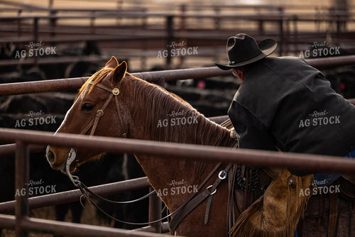 Rancher on Horseback 304035