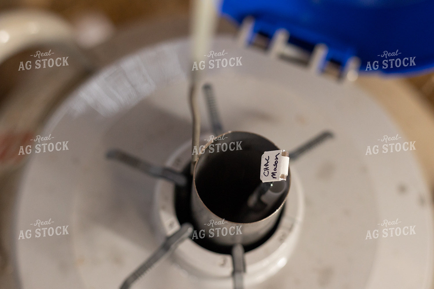 Bull Semen in Liquid Nitrogen Tank 52401