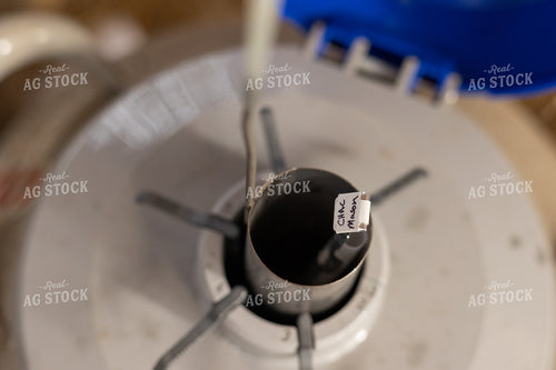 Bull Semen in Liquid Nitrogen Tank 52401